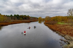 Autumn Days